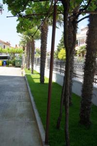 a row of palm trees next to a sidewalk at Apartments Modrušan in Rovinj