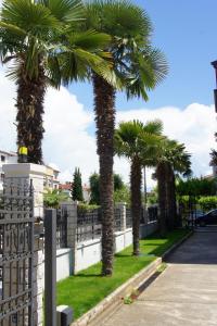 a row of palm trees in front of a fence at Apartments Modrušan in Rovinj