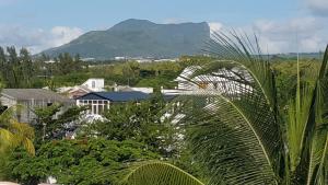 a view of a city with a mountain in the background at Krishangel Beach Apartment in Flic-en-Flac