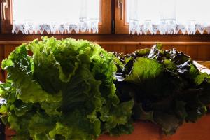 Mynd úr myndasafni af Hotel Agriturismo Al Luogo Del Giulio í Maniago