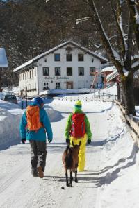 Gasthof Fallmühle v zimě
