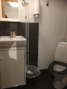 La salle de bains est pourvue de toilettes et d'un lavabo. dans l'établissement Vånga Hostel, à Vånga