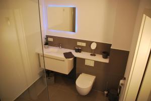 a bathroom with a toilet and a sink and a mirror at Alte Korbflechterei in Hasselberg