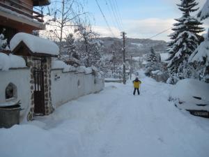 Hadjibulevata Guest House during the winter