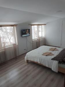 a bedroom with a bed and two windows at Hotel Andreevsky in Vinnytsya