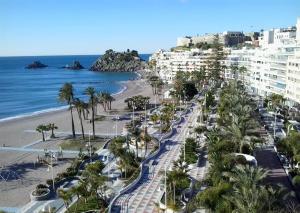 アルムニェーカルにあるApartamentos El Tranco del Marのヤシの木や建物のあるビーチの景色