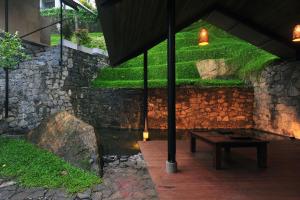 SWP Eco Lodge外面的花园