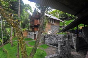 SWP Eco Lodge外面的花园