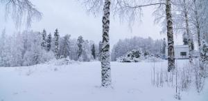 a snow covered field with two trees and a house at Gustavelund Apartments in Tuusula