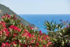 Fotografie z fotogalerie ubytování La Demeure Insoupçonnée v destinaci Cassis