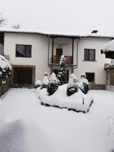Къща за гости ЧИЧАРИТЕ في غابروفو: ساحة مغطاة بالثلج مع الأشجار والمنزل