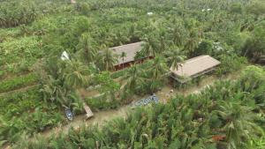 una vista aerea di una casa in una giungla di Ba Danh Homestay & Kitchen - Ben Tre Mekong a Ben Tre