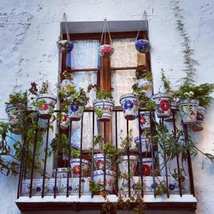 A garden outside Ashanti Club Luxury Holiday Apartment