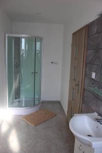La salle de bains est pourvue d'une douche en verre et d'un lavabo. dans l'établissement Statek u Křížů, à Staré Sedliště