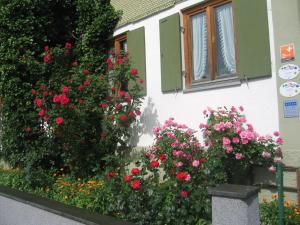 Zahrada ubytování Landhaus Beßler
