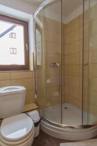 a bathroom with a toilet and a glass shower at Charming Chalet Timisu de Sus in Predeal