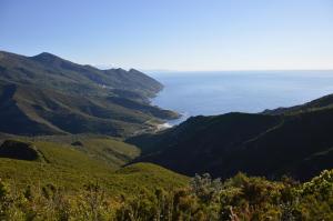 Gallery image of La Marine in Luri