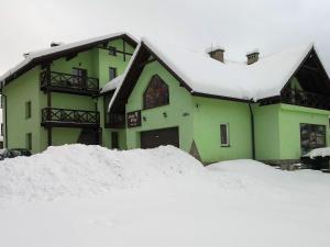 una casa verde con un montón de nieve delante de ella en Leniwy Motyl en Rajcza