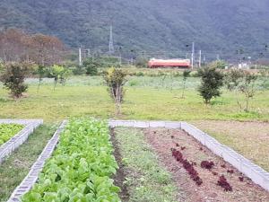 Zahrada ubytování Taroko Formosa Homestay