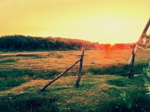 a fence in the middle of a field at Kalpitiya Guest House in Kalpitiya