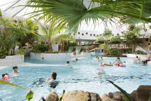 Bazén v ubytování Center Parcs Eifel Mosel Nürburgring nebo v jeho okolí