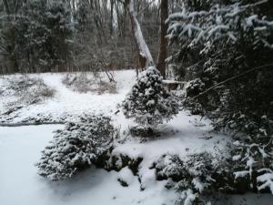 a snow covered bush with a tree in a forest at Tóth Apartman in Telkibánya