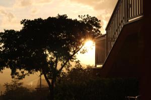 a sunset behind a tree in front of a house at Pousada Morro dos Ventos in São João del Rei