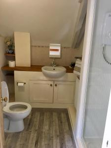 a bathroom with a toilet and a sink at Culloden Farmhouse in Camelford