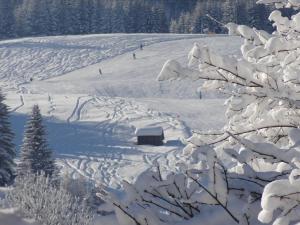 Tirolerhof v zimě