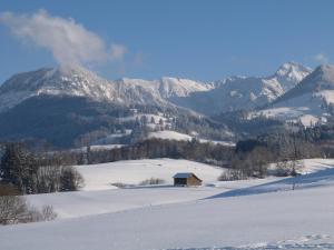 un campo cubierto de nieve con una montaña en el fondo en Auszeit im Allgäu en Sonthofen