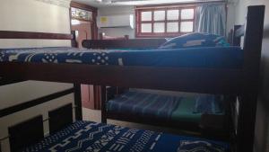 Tempat tidur susun dalam kamar di Apartamentos Osma