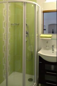 a bathroom with a shower and a sink at Domeček Milevsko in Milevsko