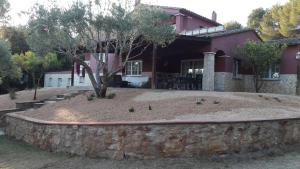 A garden outside Casa Pepe