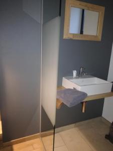 Koupelna v ubytování Ferme Houard