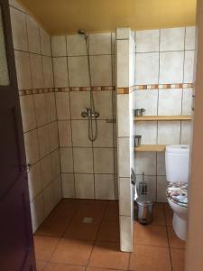 un baño con ducha y WC en Quinta Boavista, en Cercal 24 fotos más