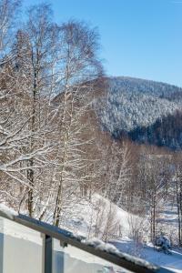 Príroda v okolí apartmánu