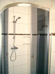 a shower with a glass door in a bathroom at Ferien-/ Monteurwohnung Nette in Themar