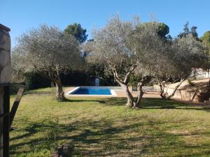 The swimming pool at or close to Casa Pepe
