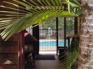 een patio met een palmboom en uitzicht op een zwembad bij Byron Bay Rainforest Resort in Byron Bay