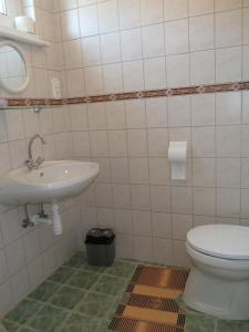 ein Bad mit einem WC und einem Waschbecken in der Unterkunft House Sophie in Vonyarcvashegy