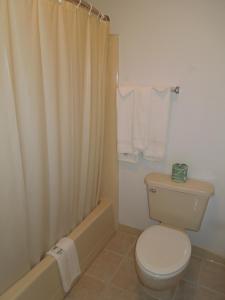Vannituba majutusasutuses Tourist Inn