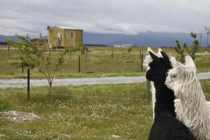 Gallery image of Highlands Farm Stay in Twizel