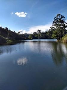 a large body of water with trees in the background at Cabañas La Honda in Guatapé