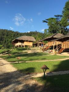 a group of buildings with straw umbrellas in the grass at Backpacker's Hill Resort in San Vicente