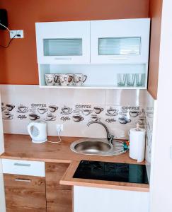 a small kitchen with a sink and a stove at Apartamenty u Klisia in Ząb