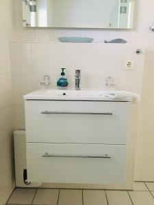 Ferienwohnung Schwalbe Wieck/Darss tesisinde bir banyo