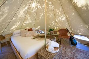 Castlemaine Gardens Luxury Glamping في كاسلمين: غرفة نوم بسرير في خيمة