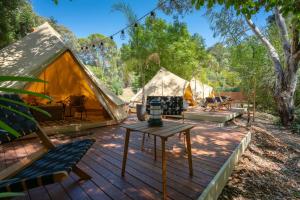 a deck with a group of tents in the woods at Castlemaine Gardens Luxury Glamping in Castlemaine