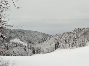 Gasthof-Hotel Dilger v zimě