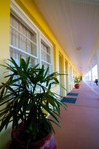 Fotografie z fotogalerie ubytování Edgewater Inn - St. Augustine v destinaci St. Augustine